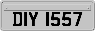 DIY1557