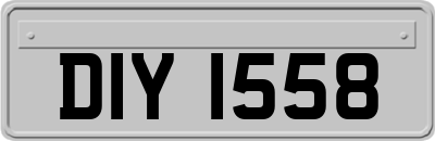 DIY1558