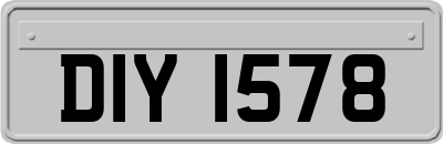 DIY1578