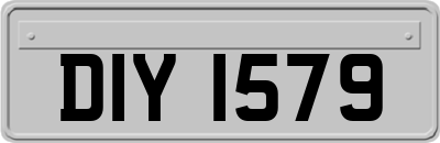 DIY1579