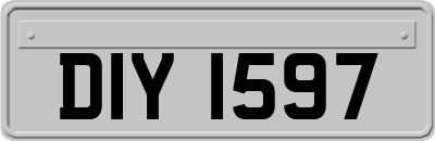 DIY1597