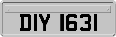 DIY1631