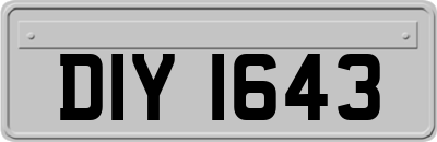 DIY1643