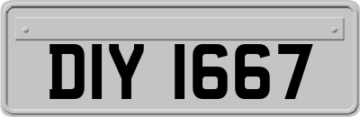 DIY1667