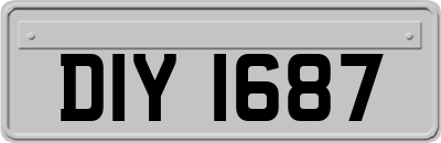 DIY1687