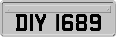DIY1689