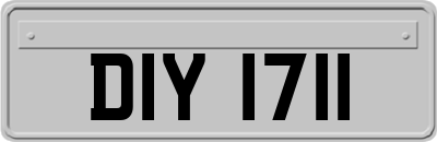 DIY1711