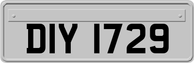 DIY1729