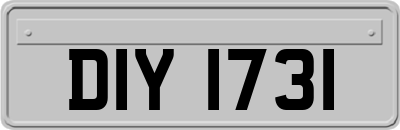 DIY1731