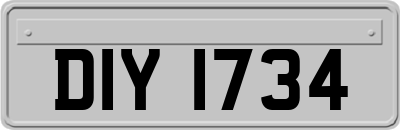 DIY1734