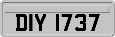 DIY1737