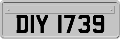 DIY1739