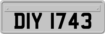 DIY1743