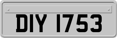 DIY1753