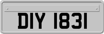 DIY1831