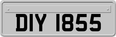 DIY1855