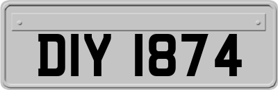 DIY1874