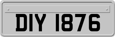DIY1876