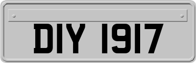 DIY1917