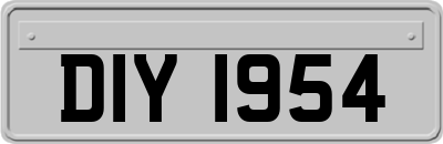 DIY1954