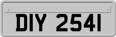 DIY2541