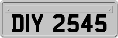 DIY2545
