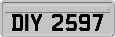 DIY2597
