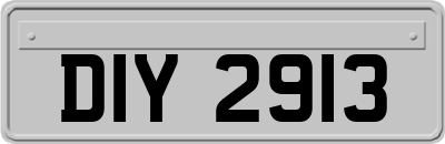DIY2913