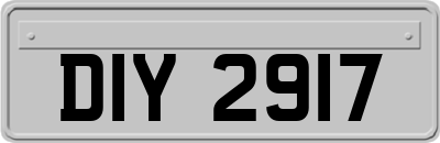 DIY2917