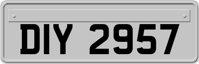 DIY2957