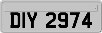DIY2974