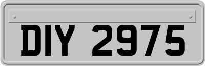 DIY2975