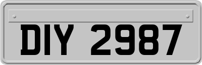 DIY2987