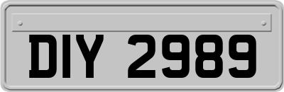 DIY2989