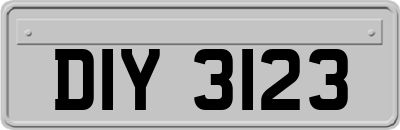 DIY3123