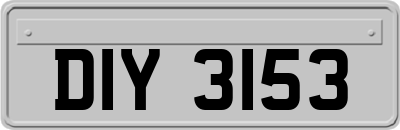 DIY3153