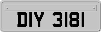DIY3181