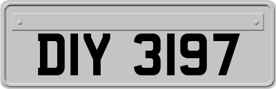 DIY3197