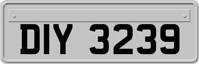 DIY3239