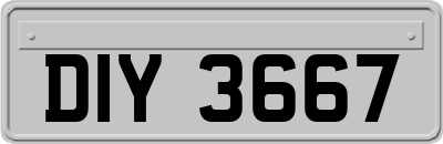 DIY3667