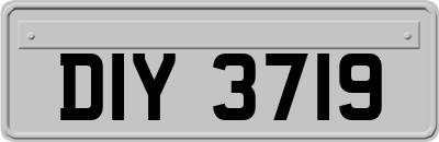 DIY3719