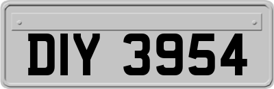 DIY3954