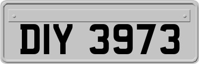 DIY3973