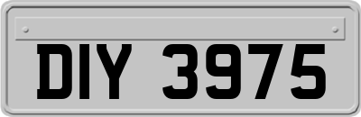DIY3975