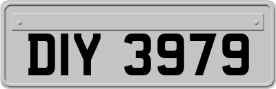 DIY3979