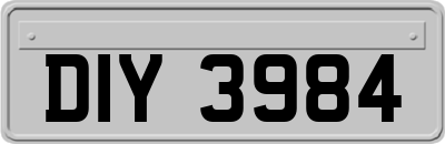 DIY3984