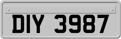 DIY3987