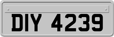 DIY4239
