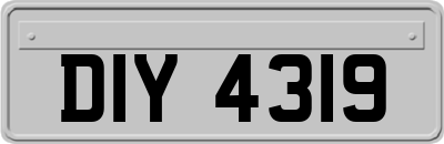DIY4319
