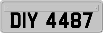 DIY4487